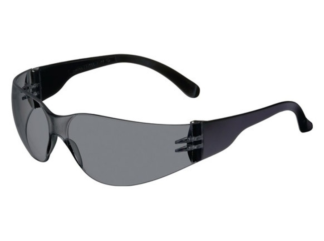 Gafa protecciÓn daylight basic solar negra tecwerk