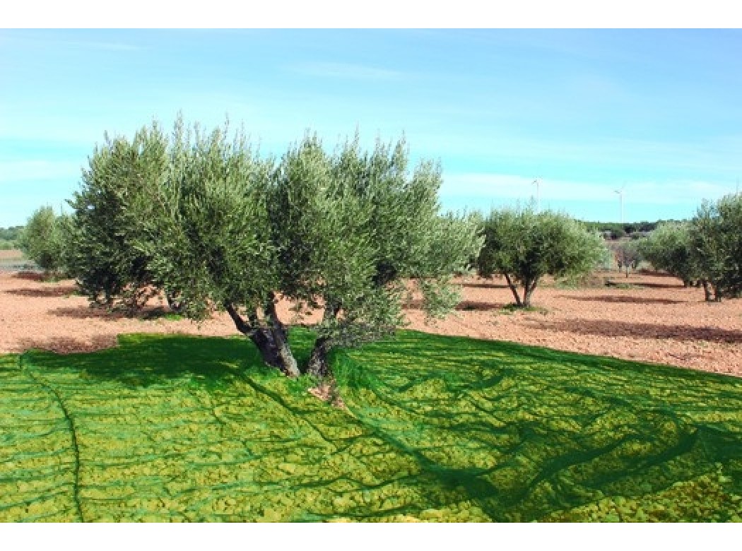 Malla recol. 4x8mt aceitunas natuur ver confecc. nt128208