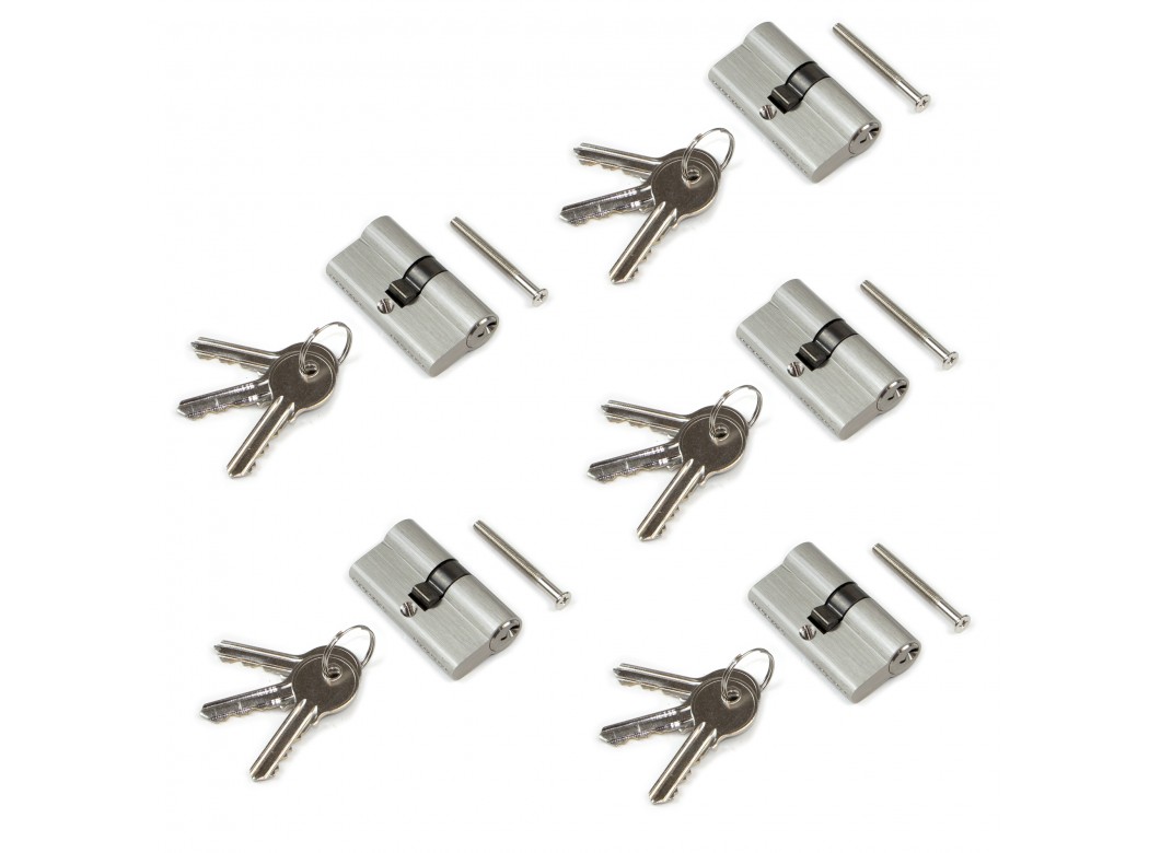 Emuca Cilindro cerradura tipo pera para puertas, 30 x 30 mm, embrague simple, leva larga, con 5 llaves, aluminio, níquel satinado, 5 sets.